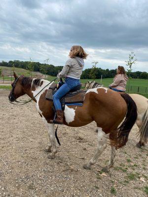 The horses getting ready for the ride!