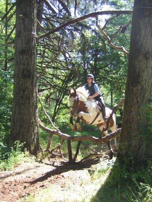 The Equestrian College is a two-year resident program for individuals who feel God is leading them into ministry in the horse industry