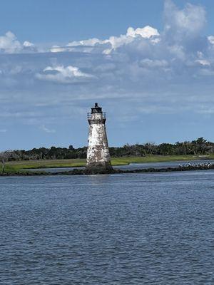 Capt. Derek's Dolphin Adventure On Tybee