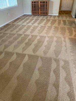 Super Quality Carpet Cleaning