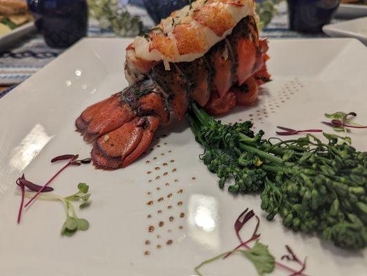 Lobster Tail! Balsamic glaze. Broccolini.