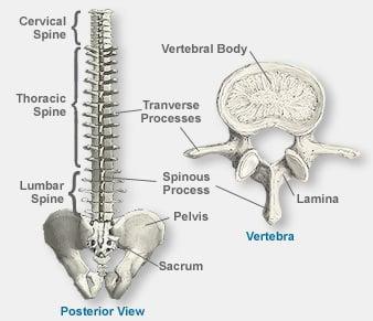 Recovering form a spine injury? Call 800-949-6100