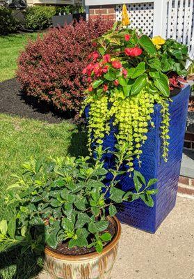 They helped us design and then planted a few planters for us.