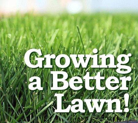 Growing a better lawn