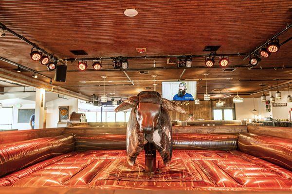 T-Bone the Mechanical Bull