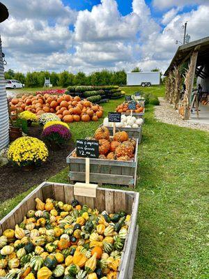 Fall Apple Pumpkin Fest Weekends are here!