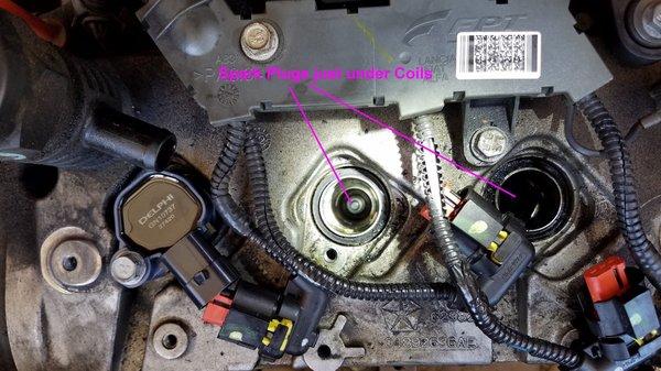 Spark plugs just under coils. Add 20 minutes to R&R.