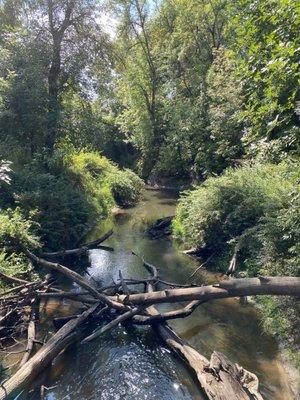 Standing on the bridge overlooking the creek