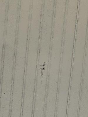 Holes drilled into covered porch ceiling