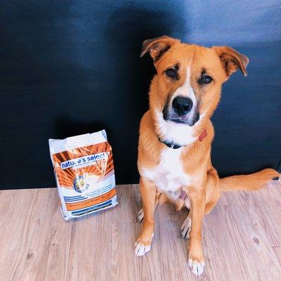 My dog Vixen loves the Nature's Select Cold Water Recipe!