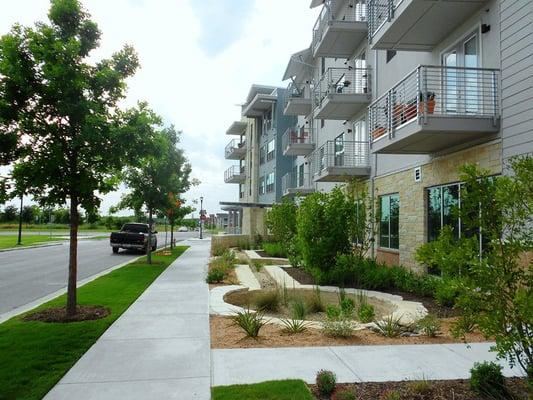 Wildflower Terrace Senior Apartments