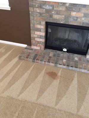 A Steam Pro Carpet Cleaning