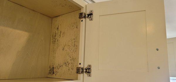 Mold In Kitchen  Before , Call Us  978-778-6676  !