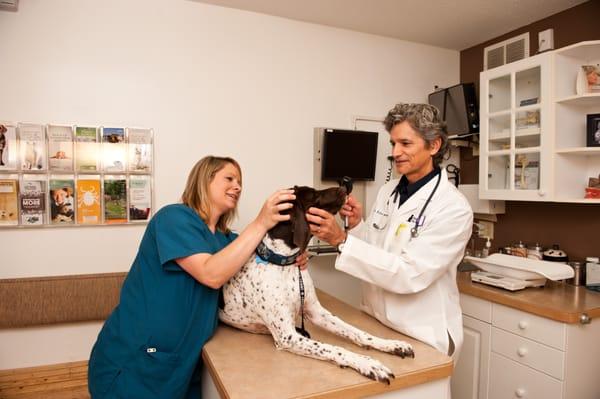 Dr. Schwantes examines Clifford's eyes.