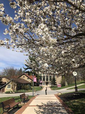 McInnis Learning Center