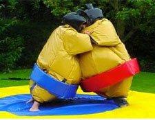 Sumo Wrestling Showdown: Experience the hilarity of sumo wrestling with our sumo suit rentals! Perfect for friendly battles and tons of laug