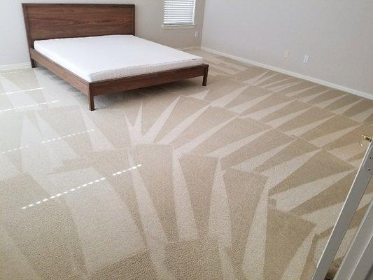 Clean Master Carpet Cleaning