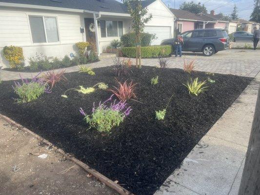 Planter area set on black mulch