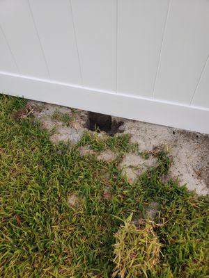 Extra holes in the yard!  This is about 18 inches from where a corner post was installed and simply left behind.