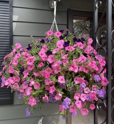 The gigantic flower baskets. Picture doesn't do its justices.