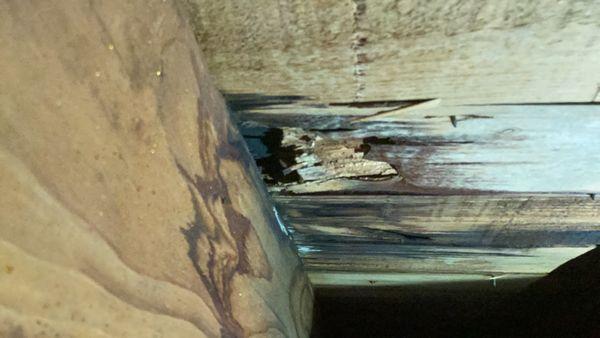 Water intrusion damage