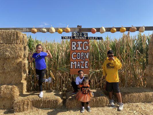 Corn Maze