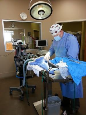 Dr. Tooke in surgery