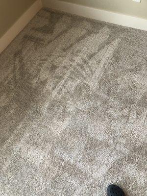 L & N Carpet Cleaning