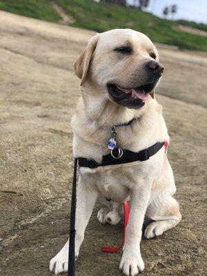 Hoa hiking Sunset cliffs