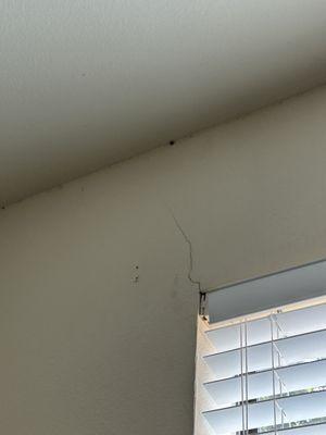 Worst part of the bedroom. Spider eggs, spiders, cracks