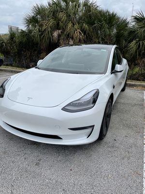 Tesla rental!