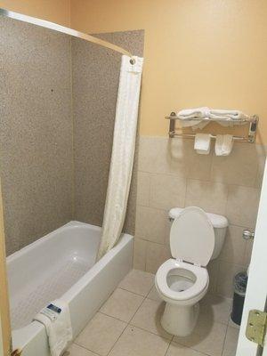 Toilet/shower separate from vanity