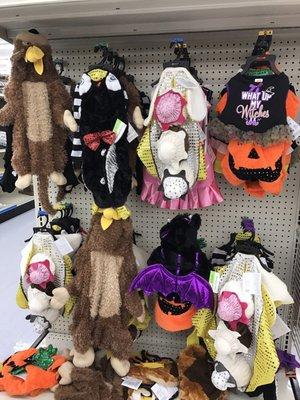 Dog costumes are plenty.