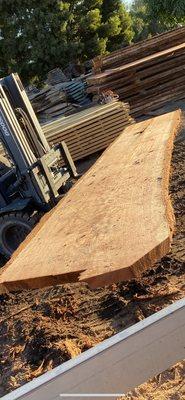 17' Redwood Slab