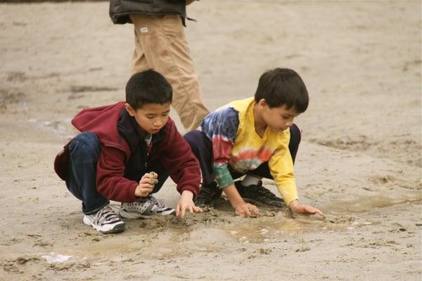 Rainy day play at Redwood Day