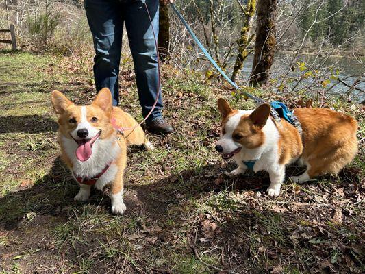 Walking with children in nature