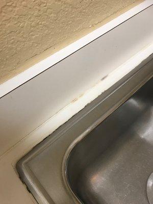 Mold.  That is actively-growing mold.  A properly-cleaked sink doesn't have MOLD.