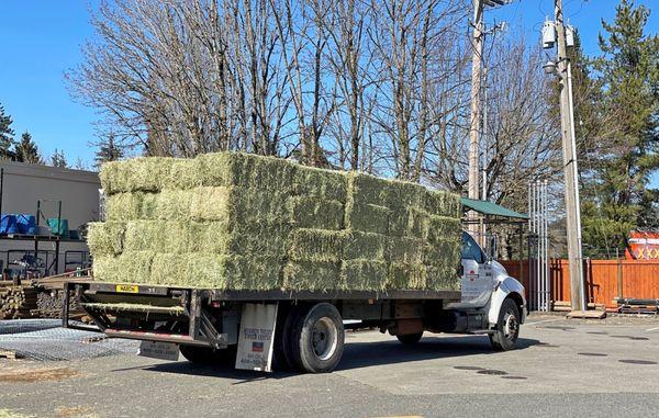 Hay! We deliver!