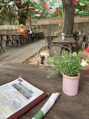 Back patio