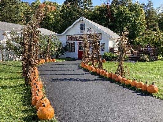 Pumpkin path leading to store on property