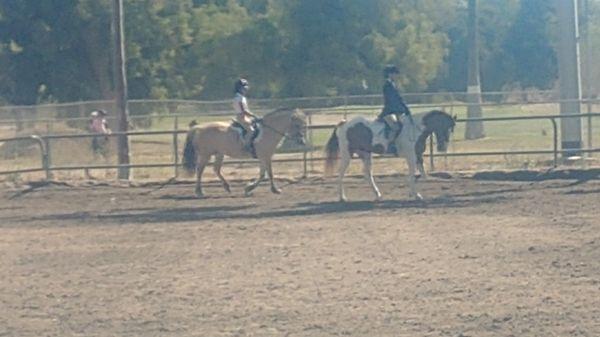 Two students in the walk trot division at Sunnyside Saddle club