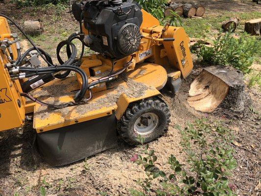 Stump Grinding