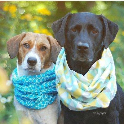 Scarves for Pets!