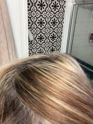 As you can see, this is not gray hair blending to platinum.