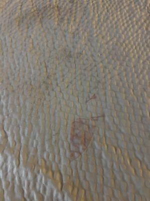 Stains on bed cover.