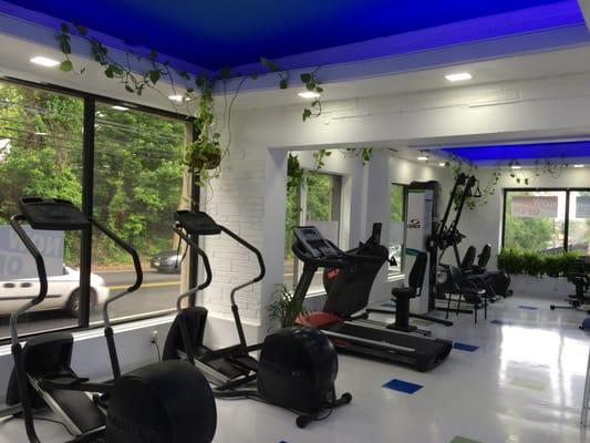 Our gym Area