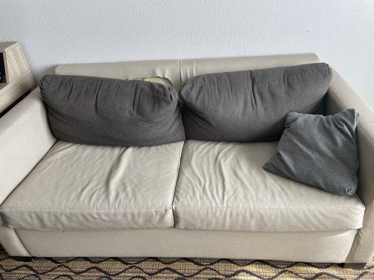 Ripped pillows on couch