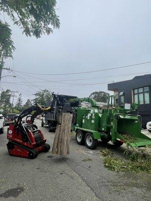 Cal-Line Tree Care