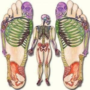 Foot Reflexology