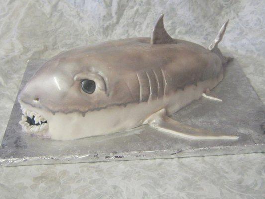 sharkcake